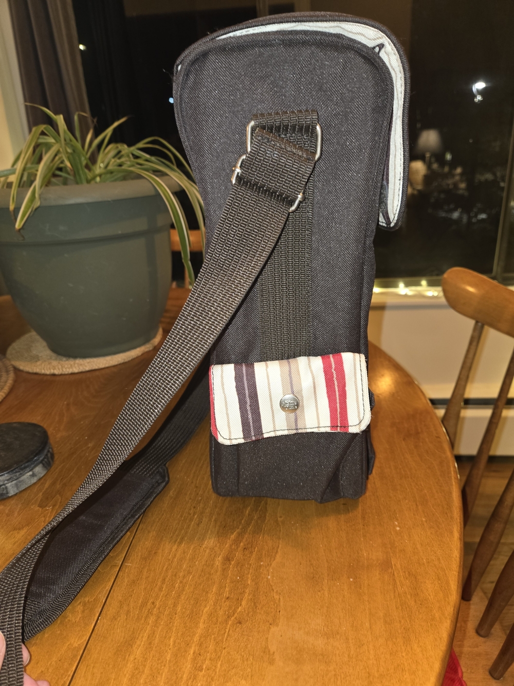 Picnic Time Insulated Wine Bottle Cooler Bag - Sturdy Canvas & Stylish Stripe - Picture 4 of 8